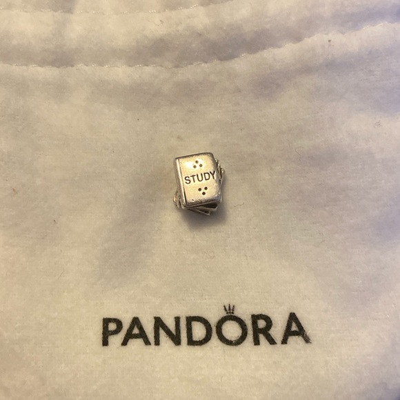 Authentic Sterling Silver Pandora Study Owl Charm - Picture 2 of 8